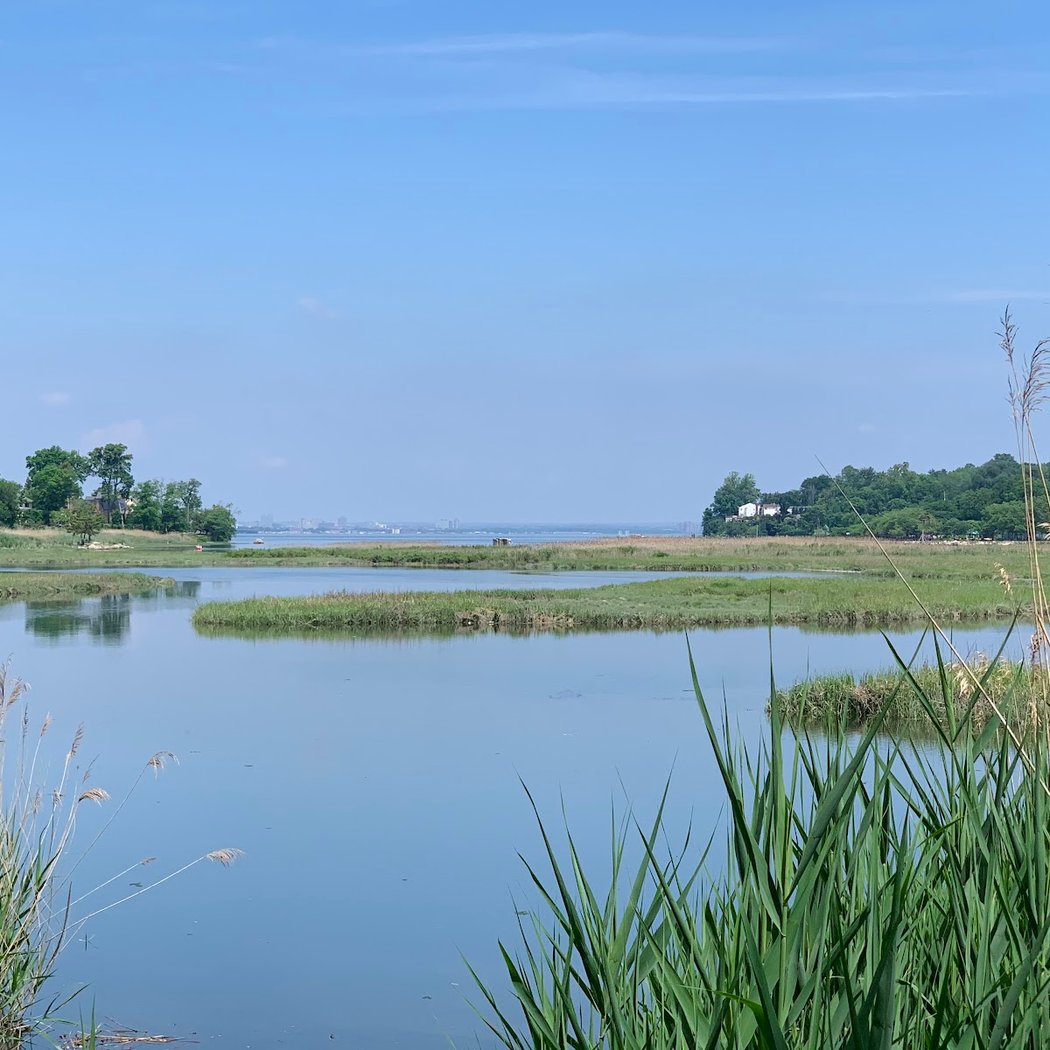 Udall's Cove Park Preserve 1