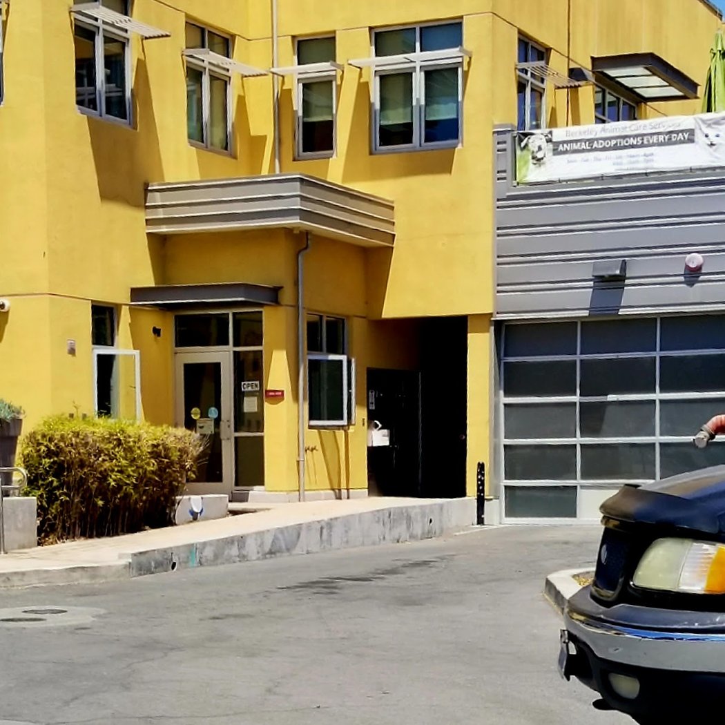 Berkeley Animal Care Services 3