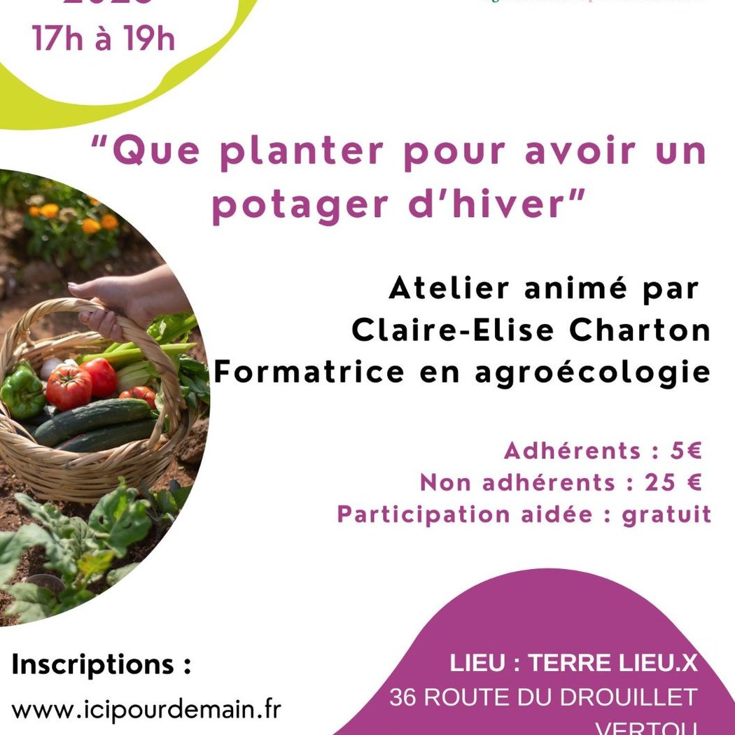 Atelier potager : que planter pour avoir un potager d'hiver
