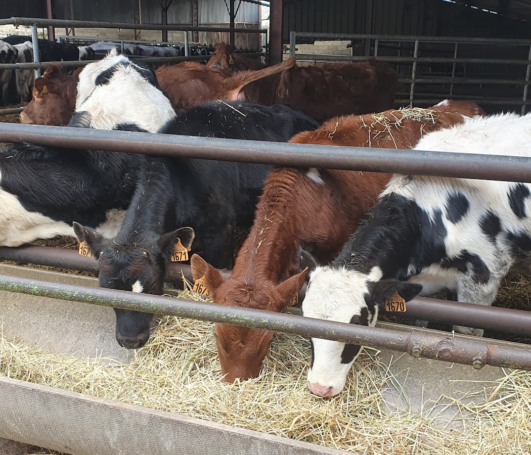 La Ferme de Moigny 3