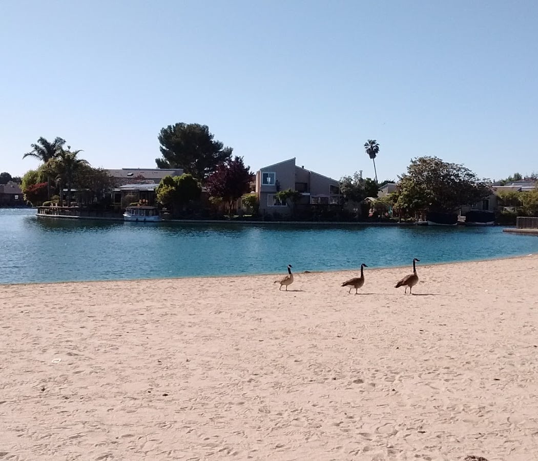 Pompano Park 2