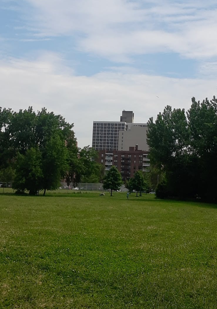 Kissena Park, Field 12 2