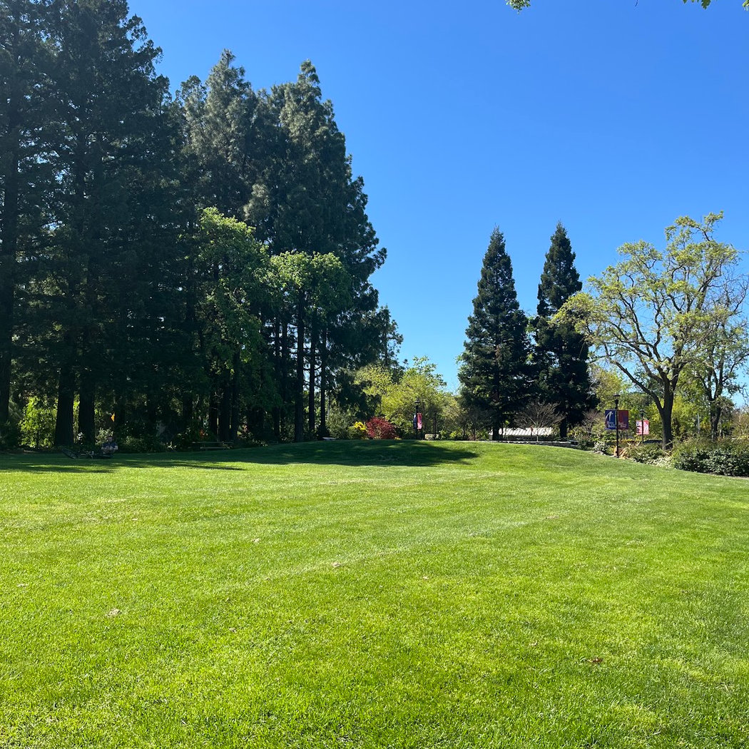 Yountville Music in the Park 5