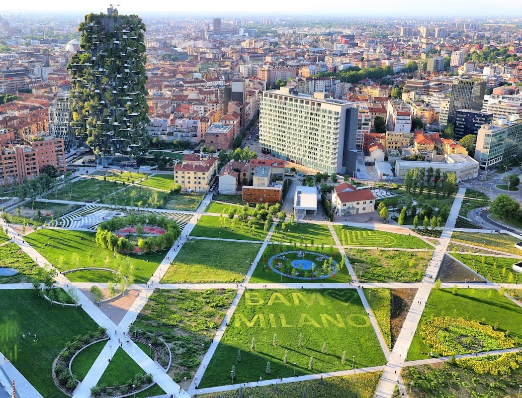 Passeggiate BAM: L'ombra e il rigoglio 3