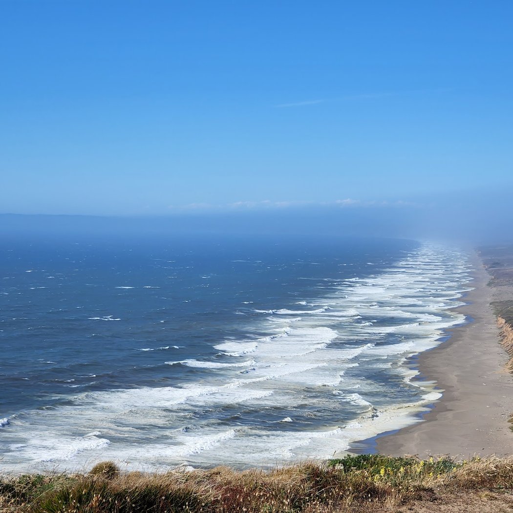 Point Reyes Birding & Nature Festival 4