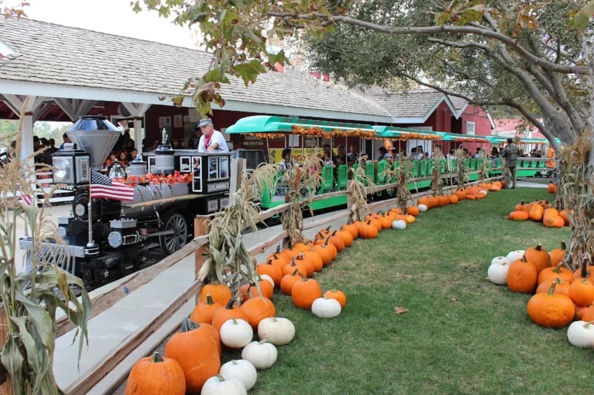 Irvine Park Railroad Pumpkin Patch 2026 1