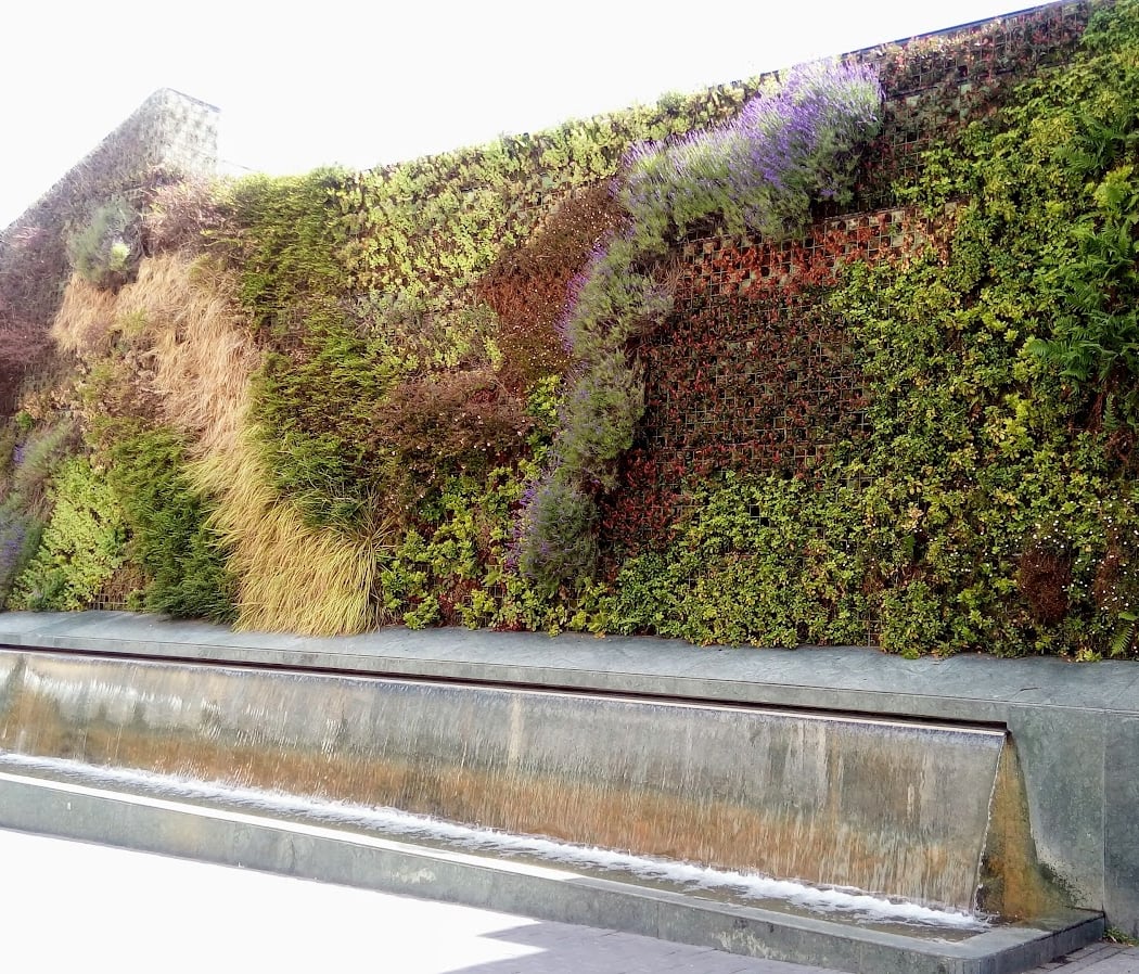 Vertical Garden 1