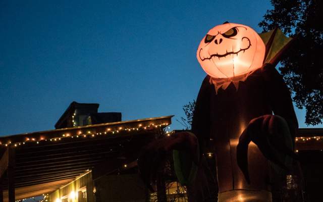 Boo at the Zoo