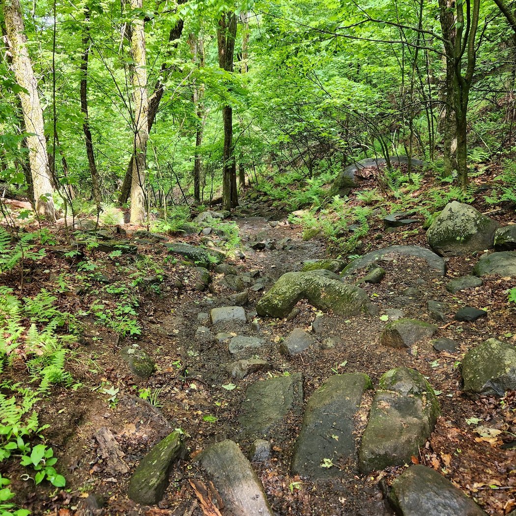 Hadley Mountain Fire Observation Station 3