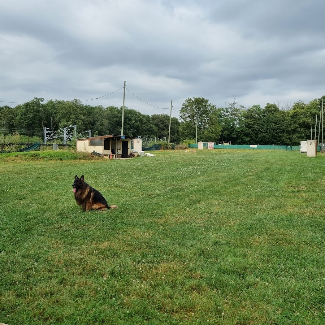 Club canin du Val de l'Ourcq 3