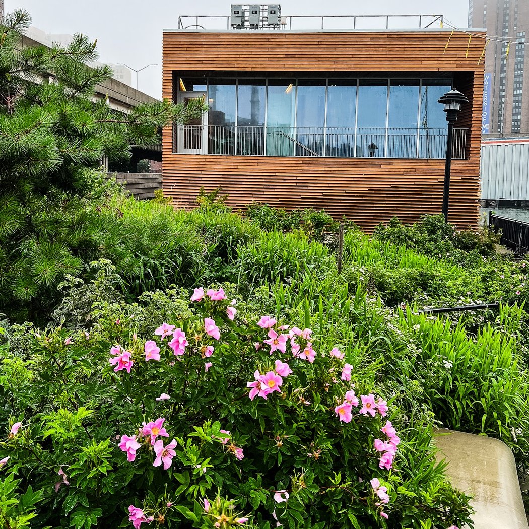 Solar One Environmental Education Center at Stuyvesant Cove Park 3