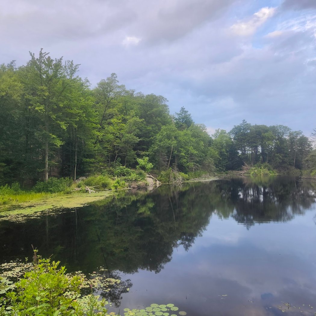 Taconic State Park - Rudd Pond Area 1