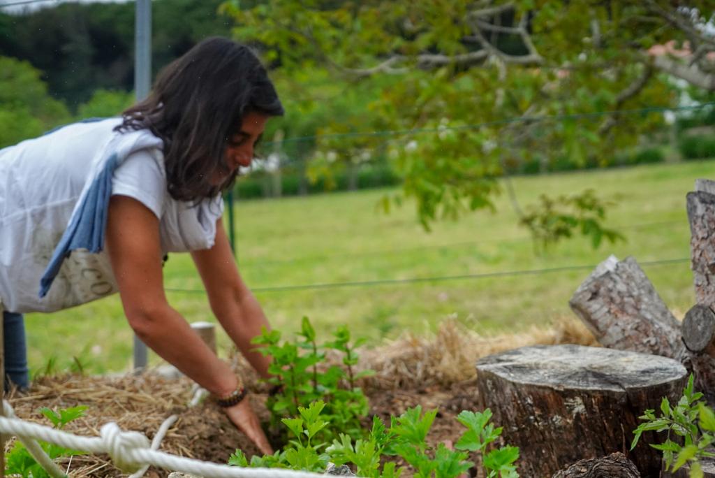 Build Your Own Insect Hotel Workshop 1