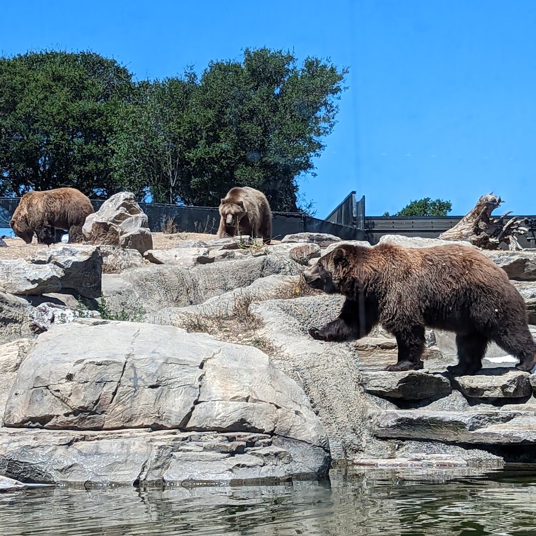 California Trail at Oakland Zoo 1