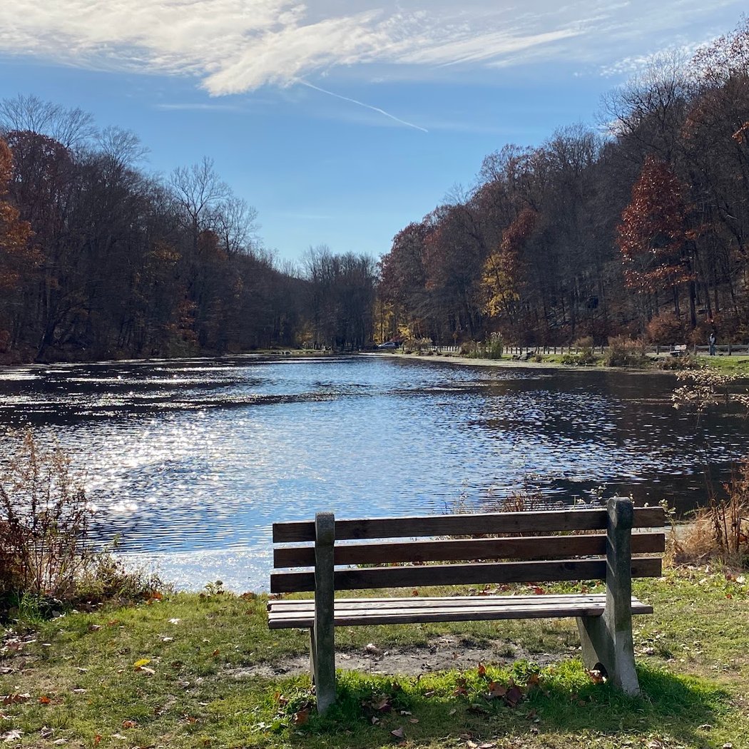 Gedney Park 1