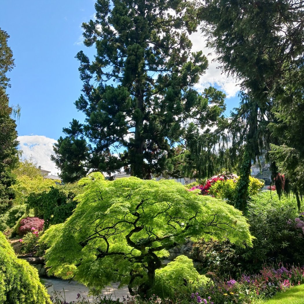 Jardin japonais d'Evian-les-Bains 1