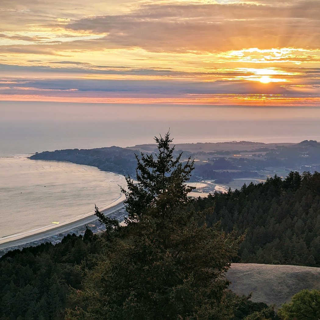 2026 Mt. Tam Wild Boar Half Marathon & 10K 1