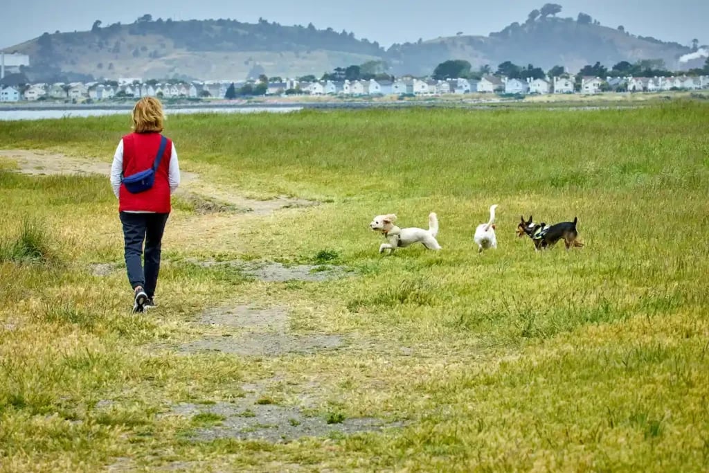 San Francisco Bay Trail 2