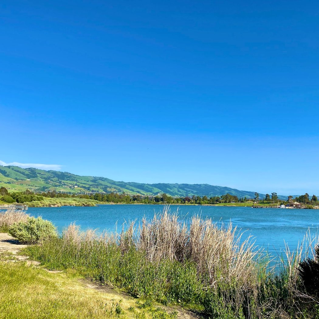 Santa Clara Valley Bird Alliance Event 3