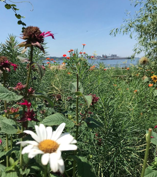 Narrows Botanical Gardens 3