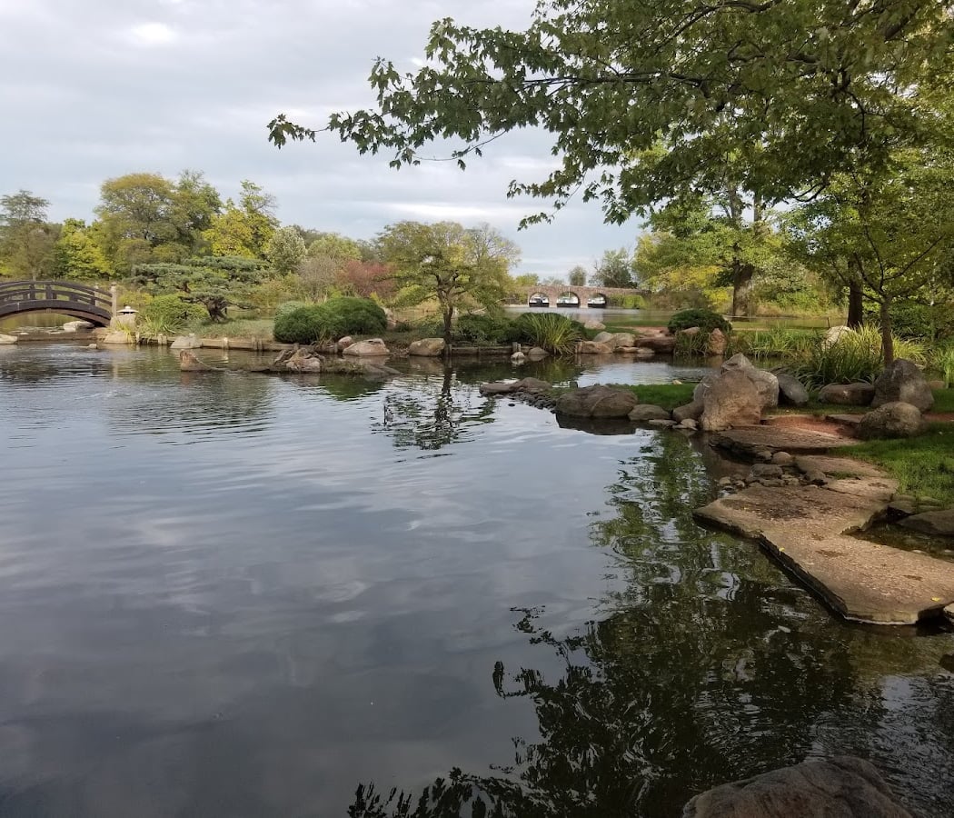 Jackson Park 1
