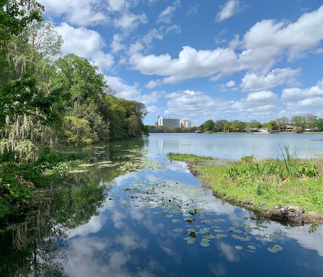 Conservation Corner - Lake Life 1