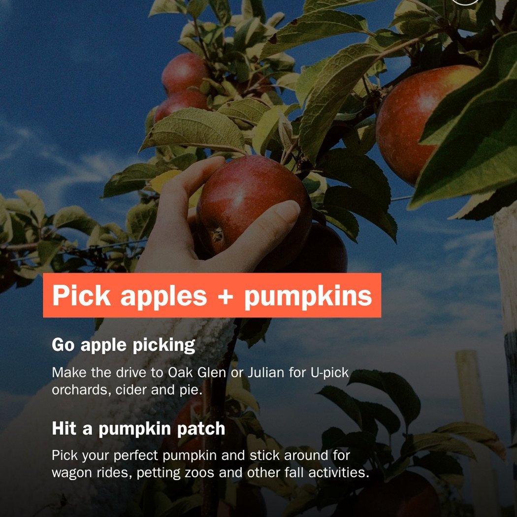 Apples and Art Orchards 1