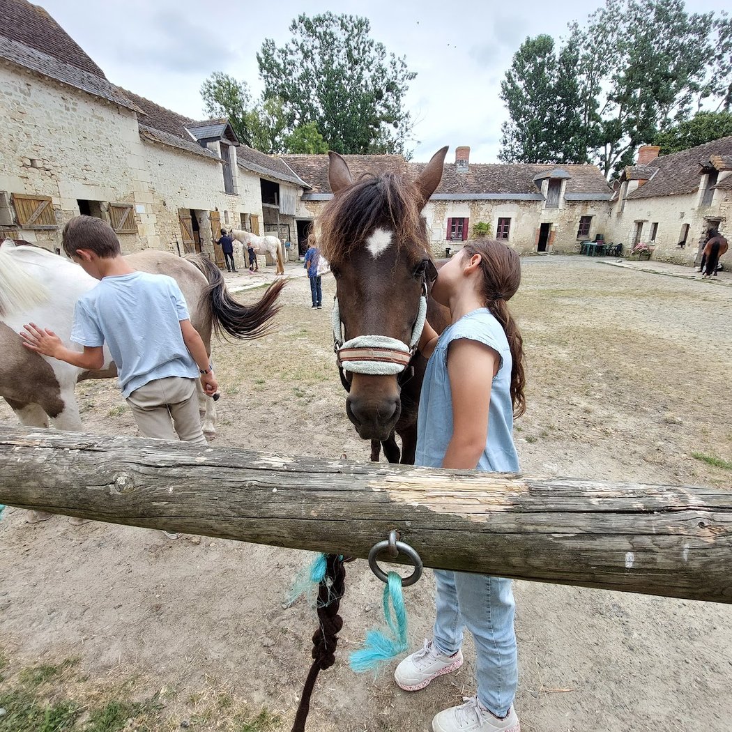 Centre équestre et poney club de Pouzay 1