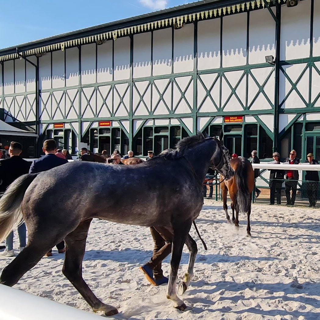 Racecourse of the Solle - Fontainebleau 1