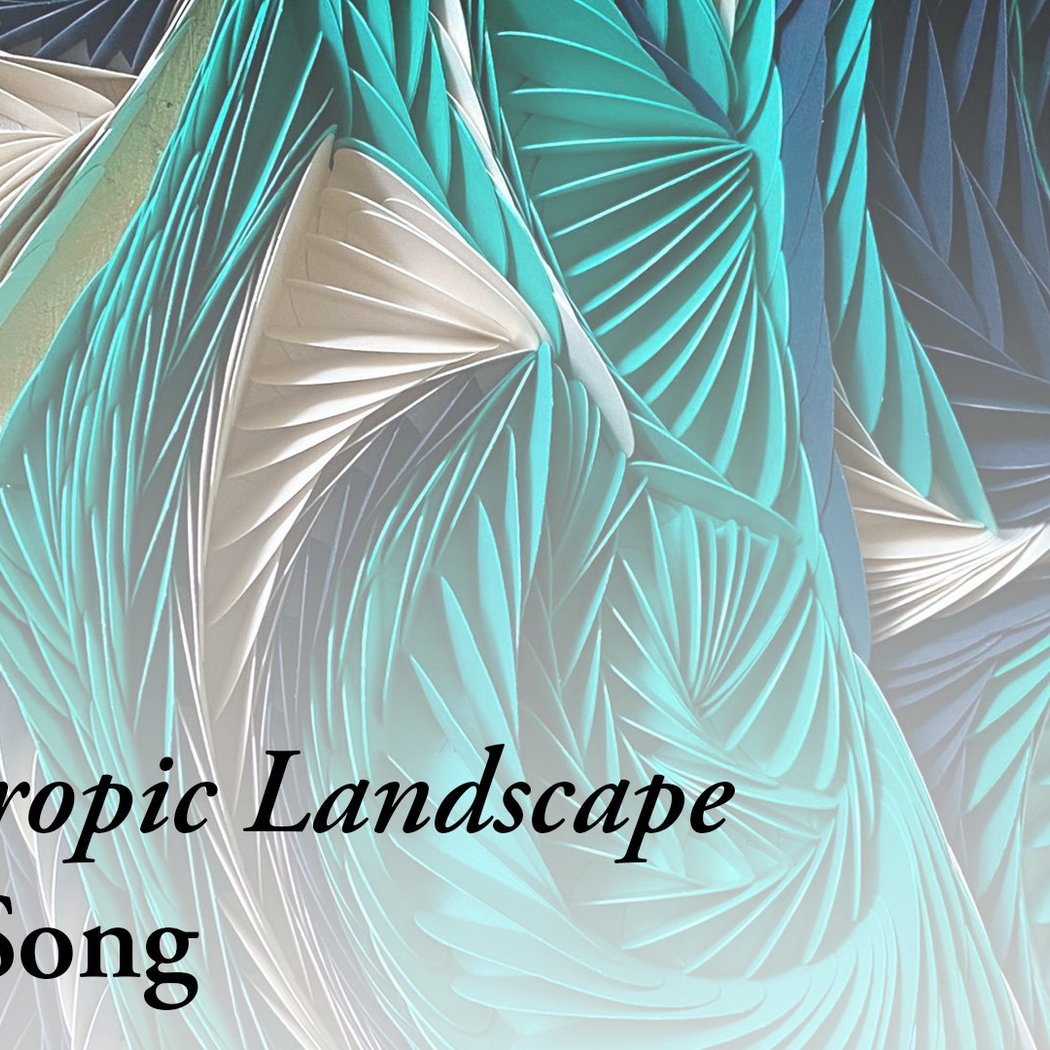 Negentropic Landscape 1