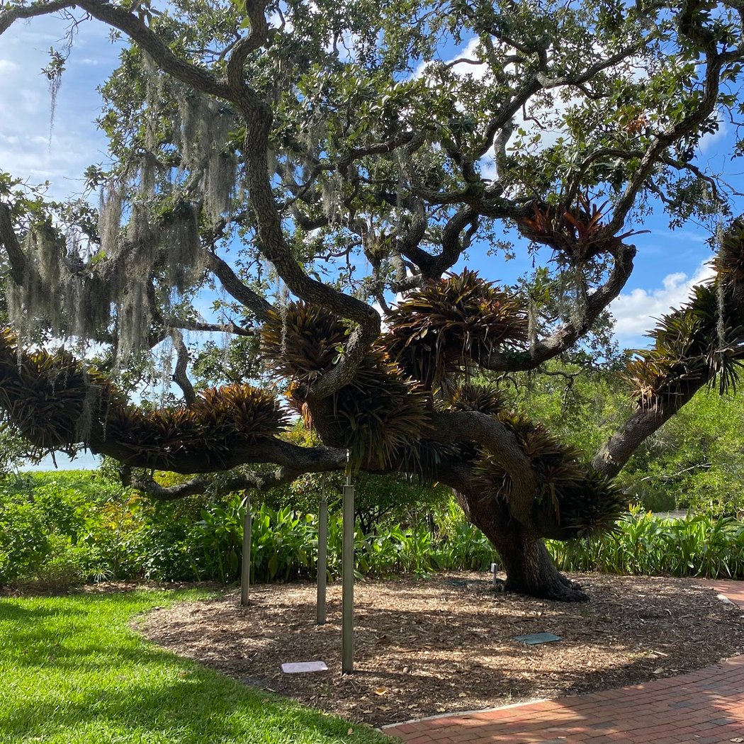 Marie Selby Botanical Gardens Downtown Sarasota 3