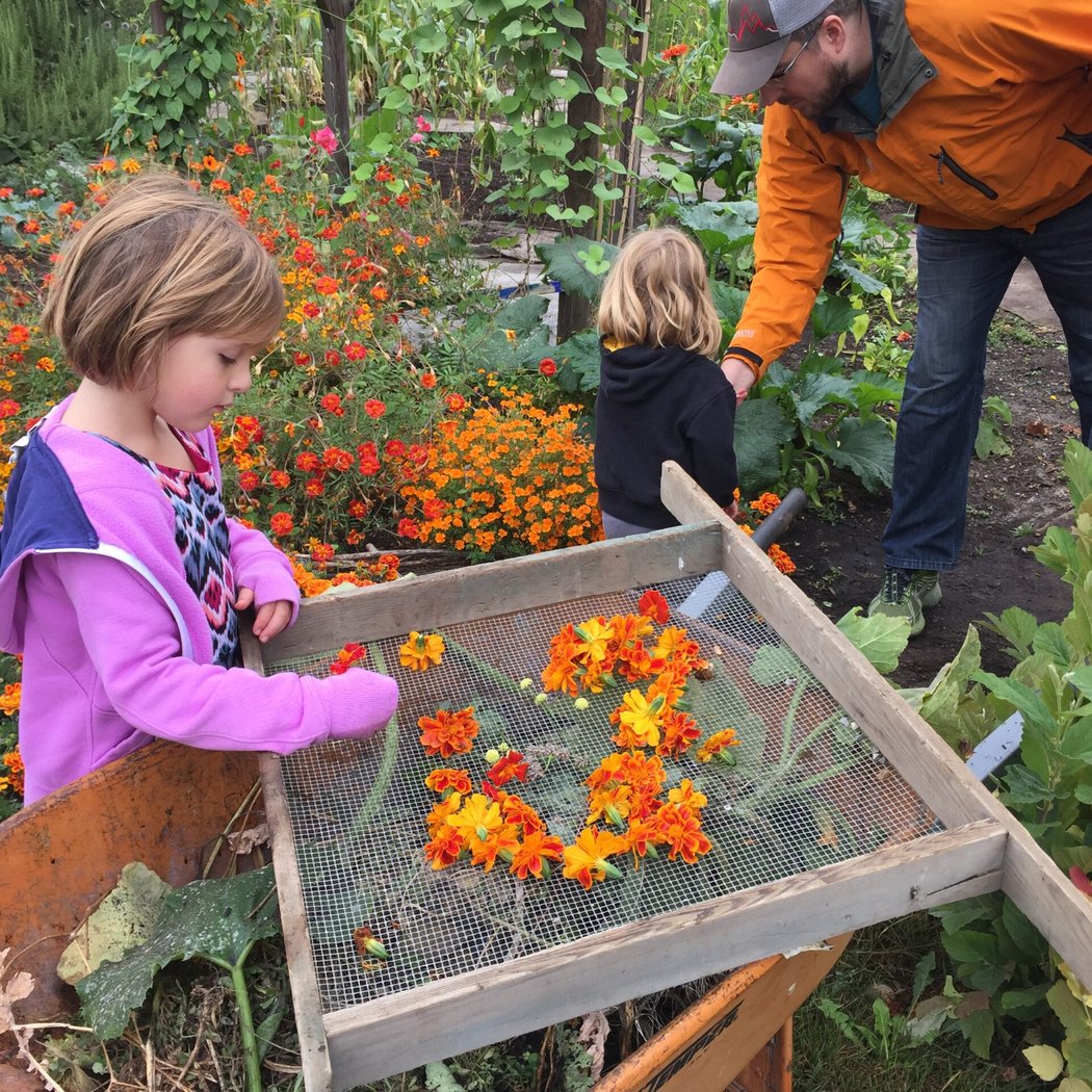 Seattle Children's PlayGarden 2