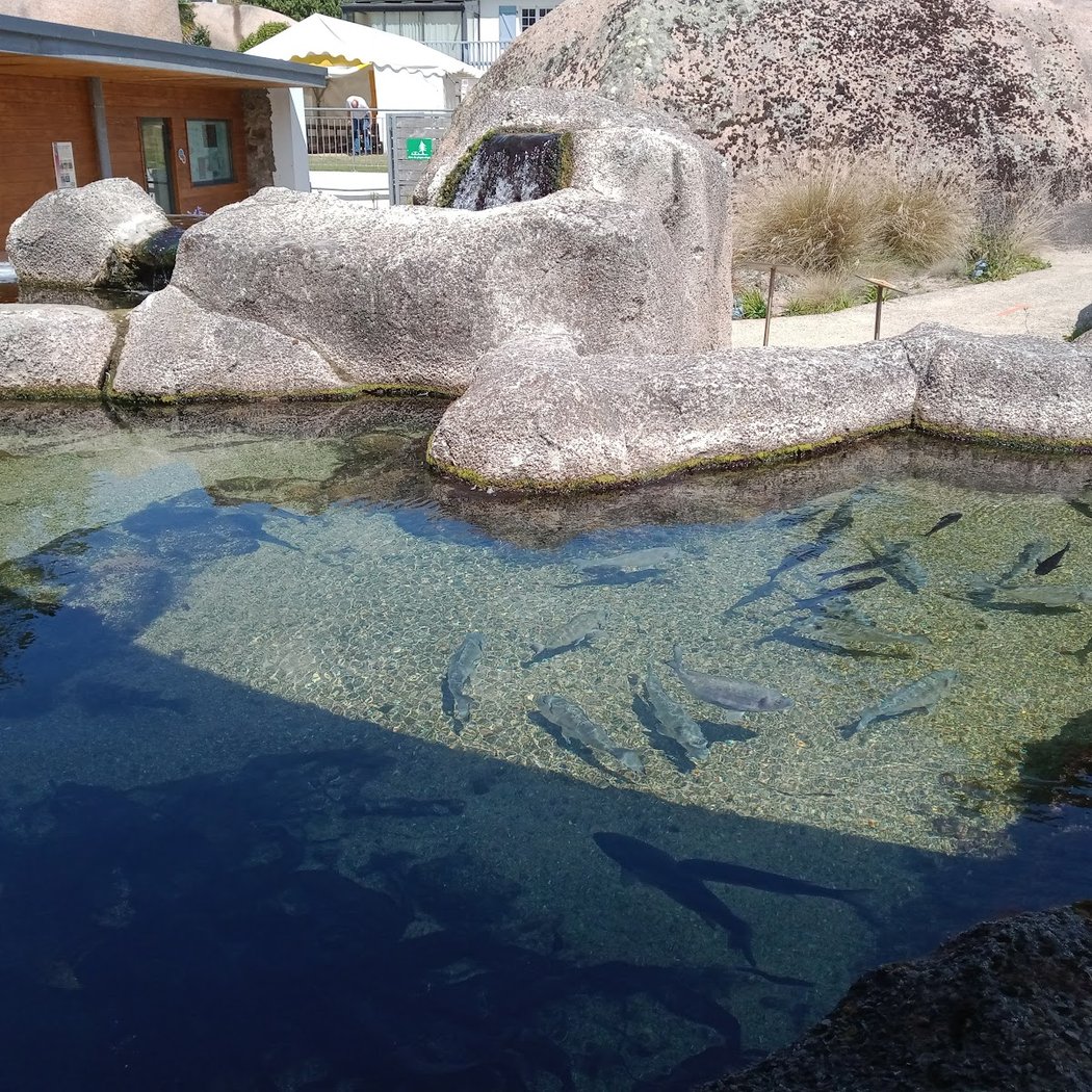 Aquarium Trégastel 3