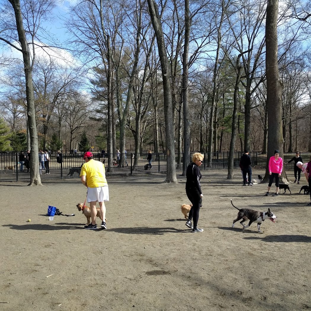 Ridgewood Dog Park 2