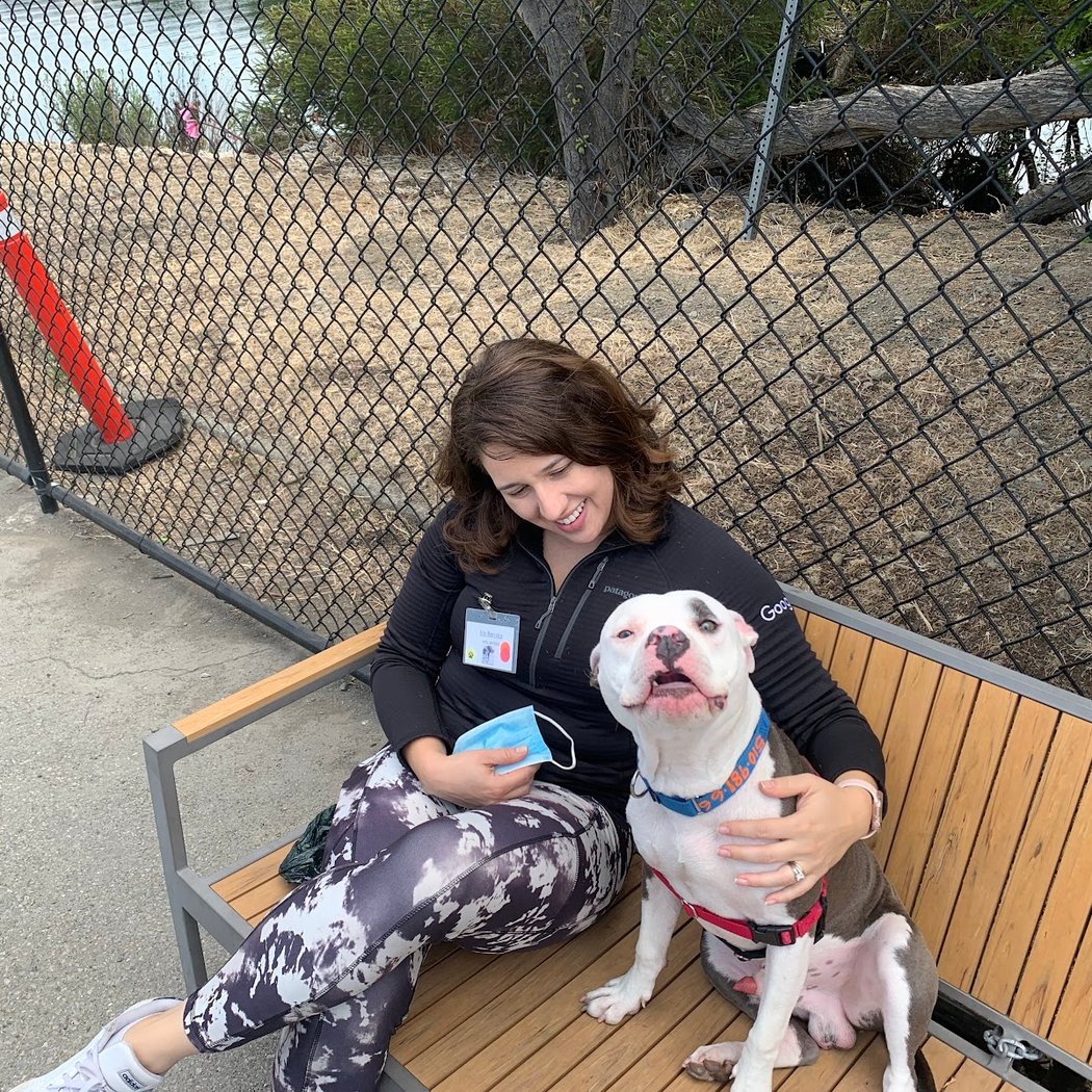 Berkeley Animal Care Services 1