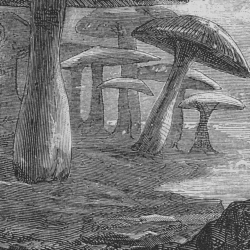 Une odyssée au centre de la terre 1