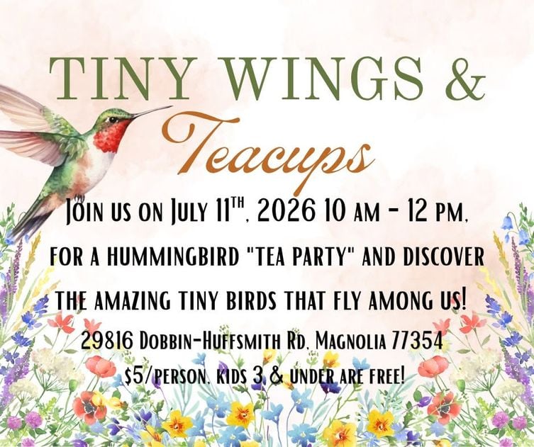 Tiny Wings & Teacups 1