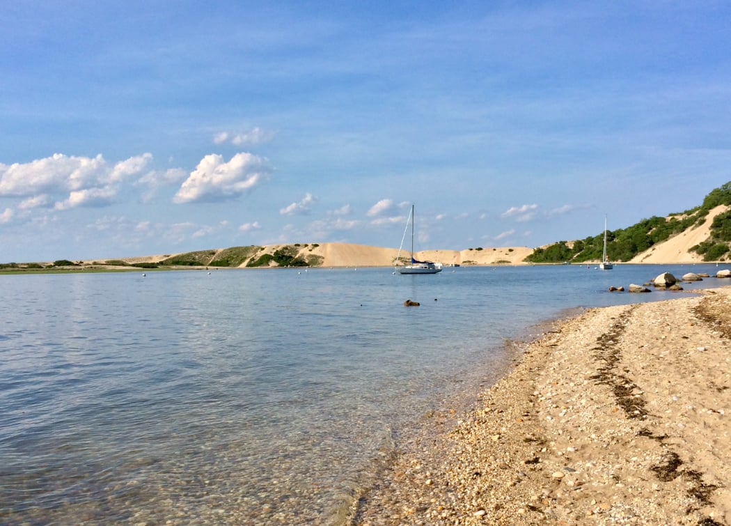 The Cove 2