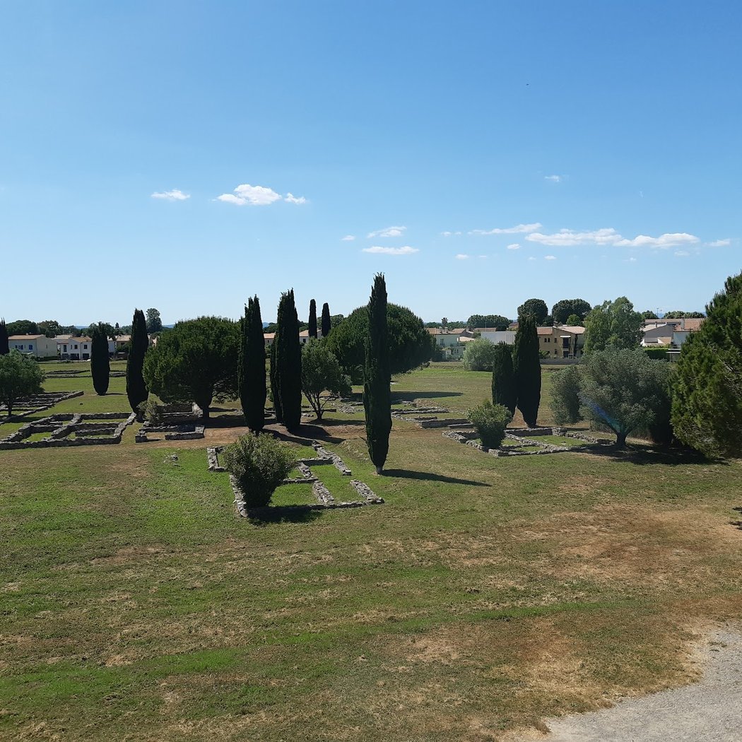 Musée archéologique Henri-Prades 3