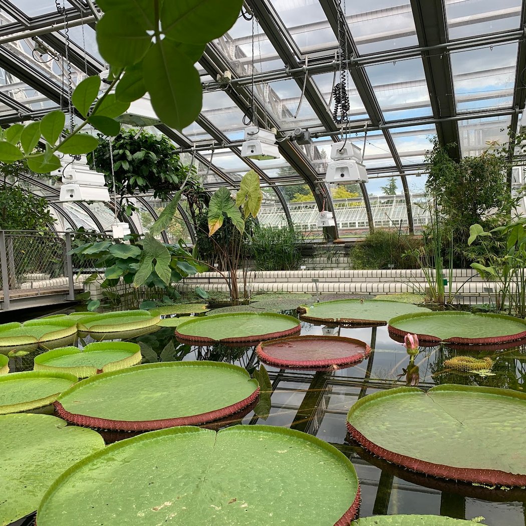 Botanical Garden and Botanical Museum 4
