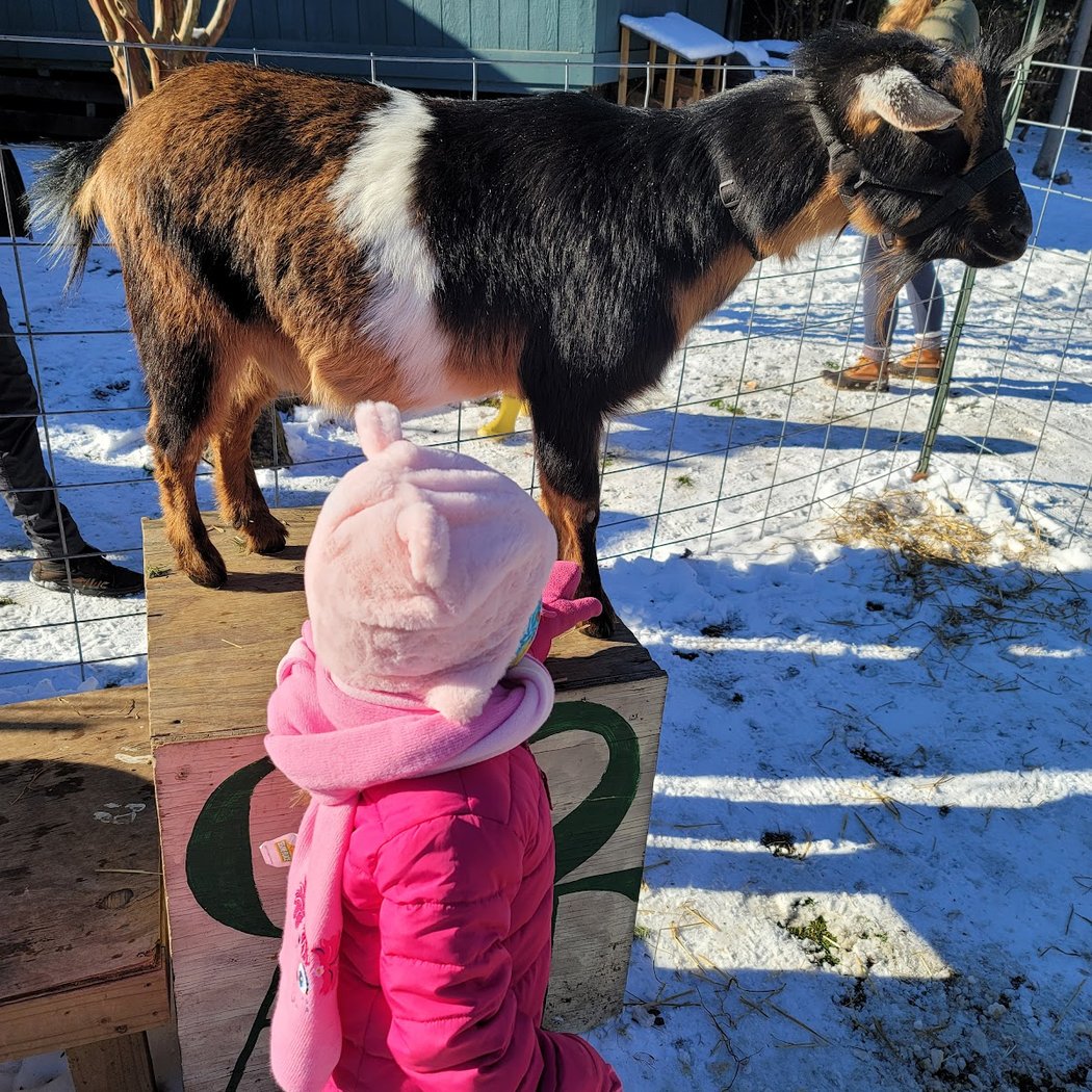 The Farm at Awbury Arboretum 1