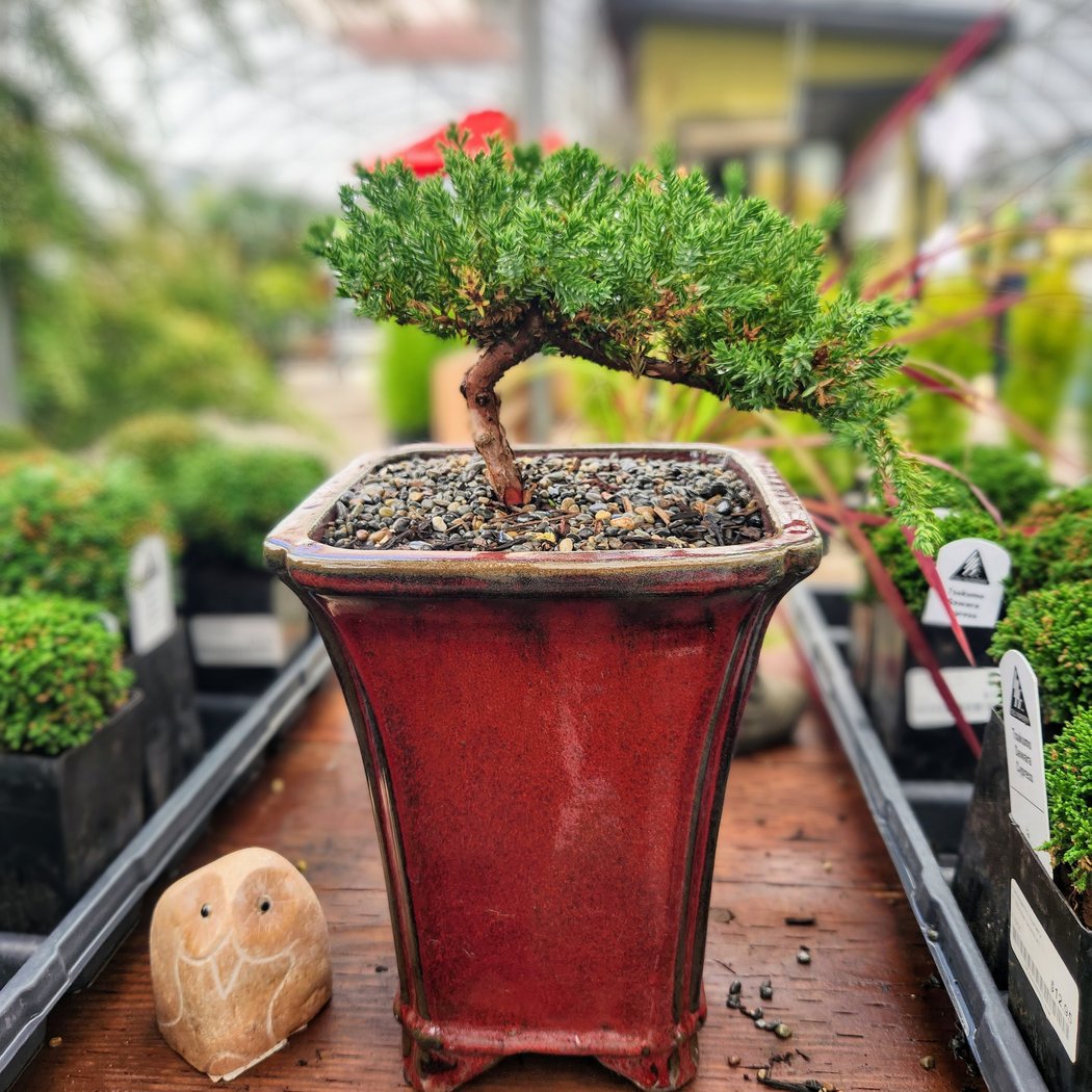 Yamagami's Garden Center 1