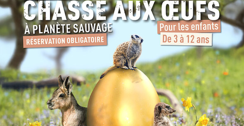Grande chasse aux œufs 1
