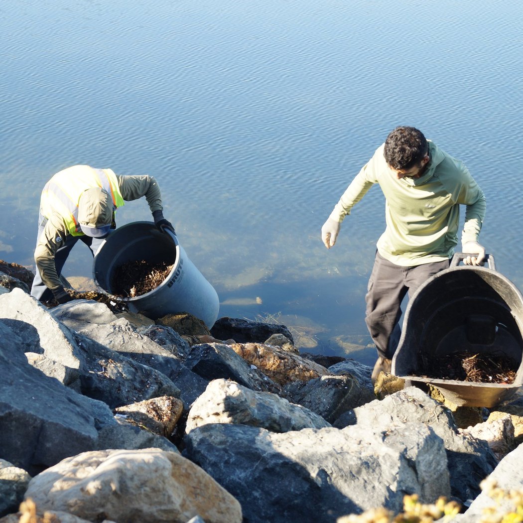 Bolsa Chica Conservancy Volunteer Training 2