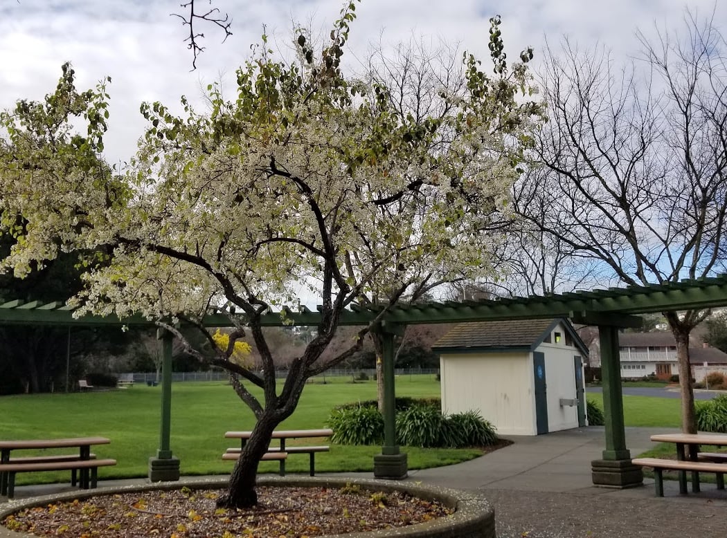 Mape Memorial Park 1