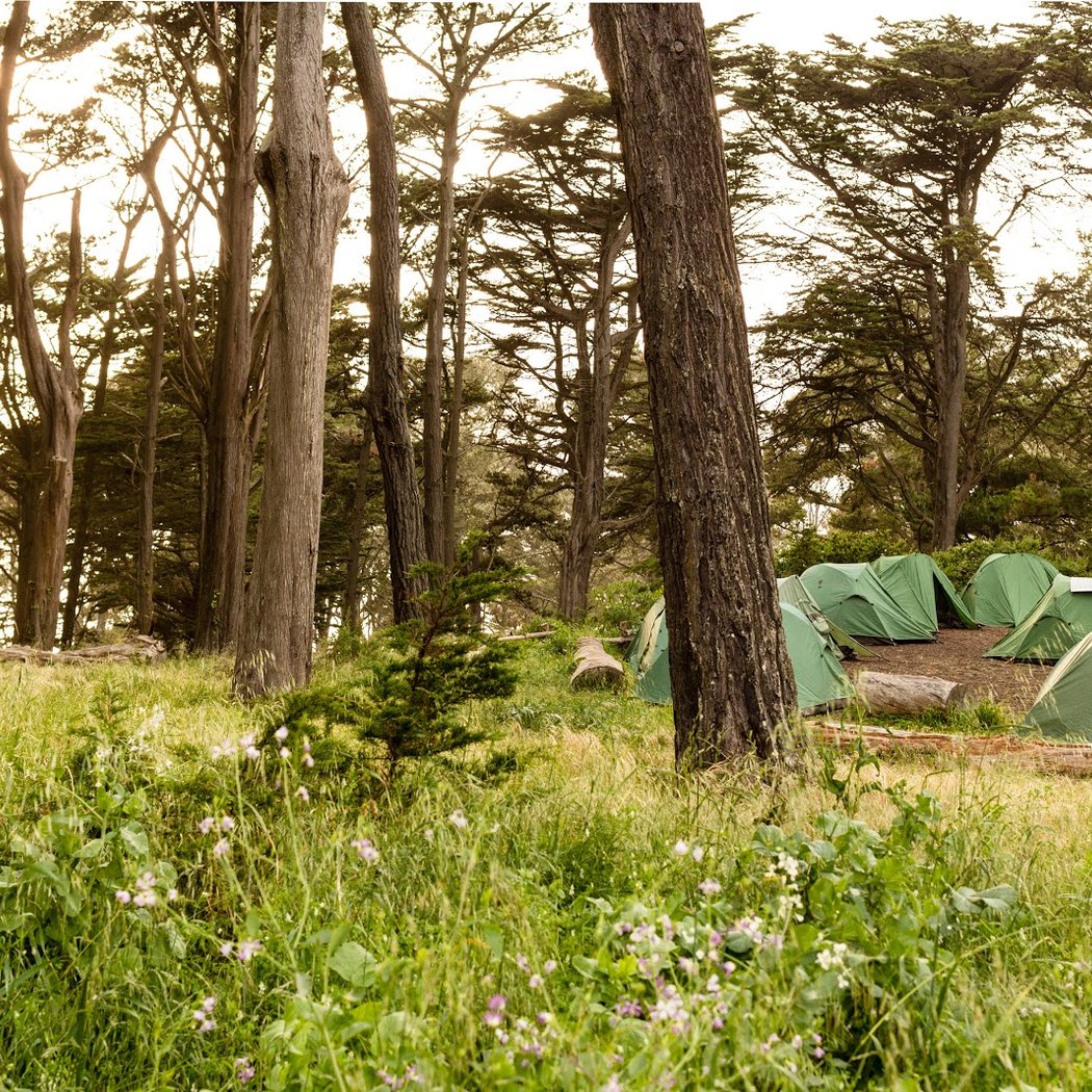 Rob Hill Campground 1