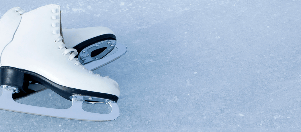 Public Skate 3