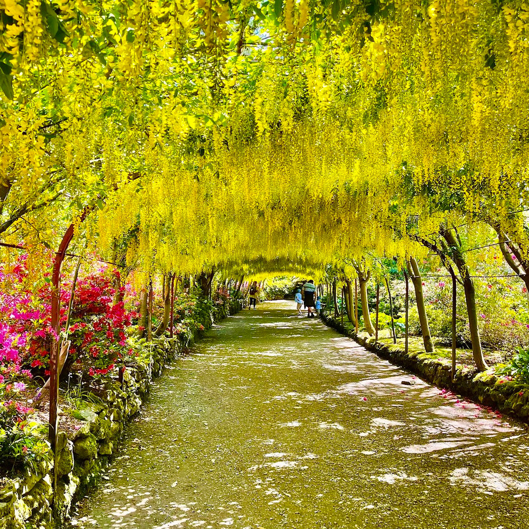 Bodnant Garden - National Trust 1
