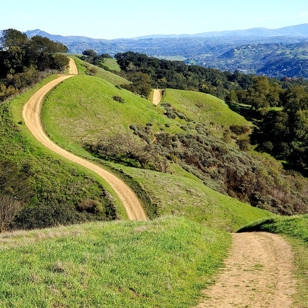 Lafayette Ridge Trail 1