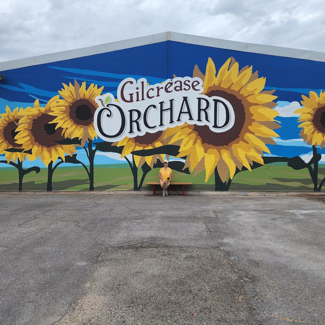Sunflower Days 4